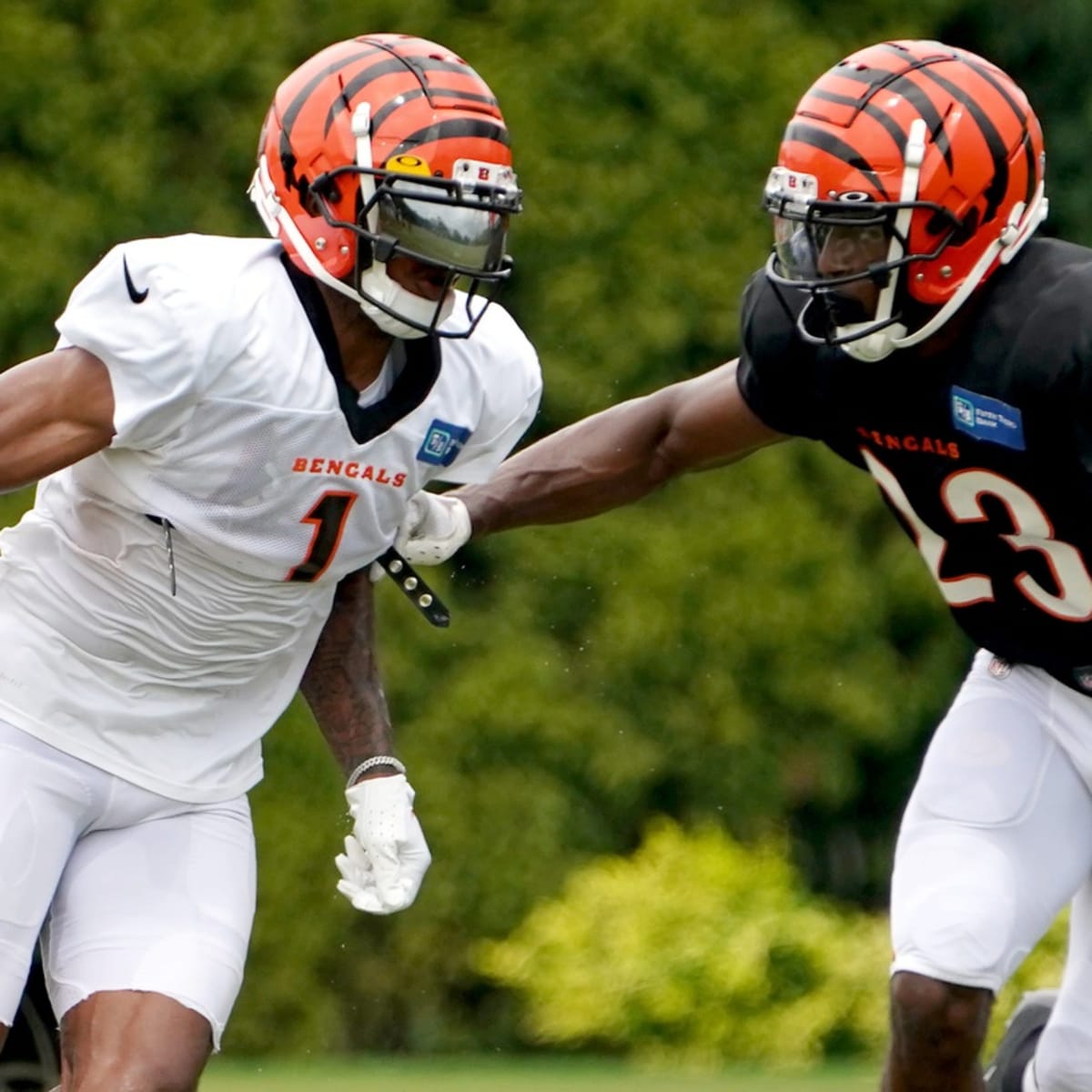 The Ringer Names Cincinnati Bengals Safety Dax Hill as Bengals 2023 X  Factor - Sports Illustrated Cincinnati Bengals News, Analysis and More