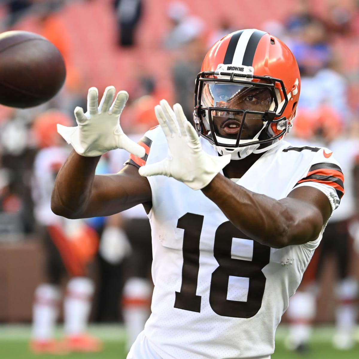 Browns Rumors: Cleveland Predicted to Cut WR David Bell