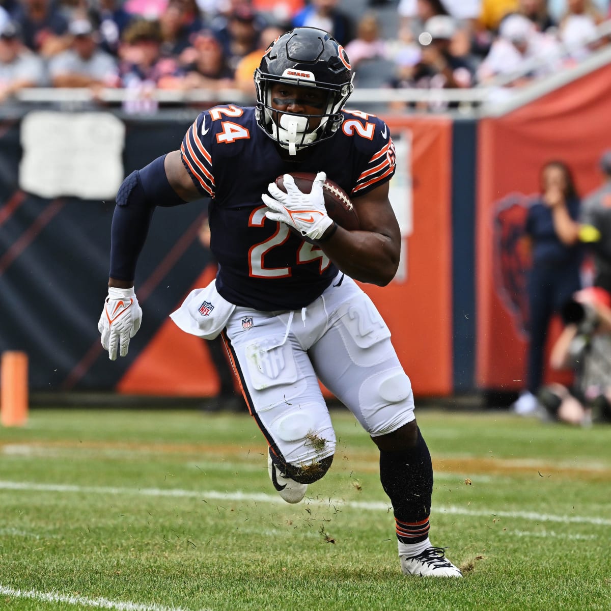 Soldier Field switches to Bermuda grass for Bears