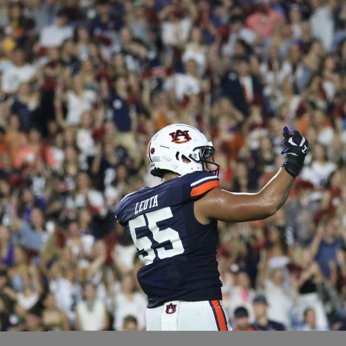 Carolina Panthers add former Auburn linebacker 