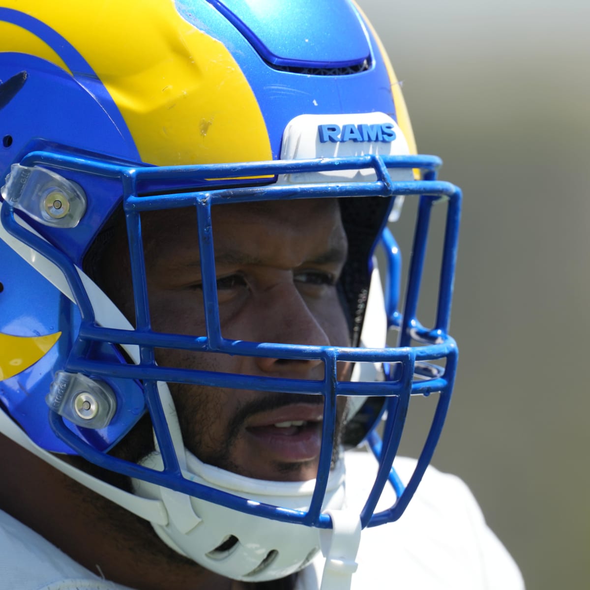 Rams' Aaron Donald took a bunch of Falcons out of the game, via