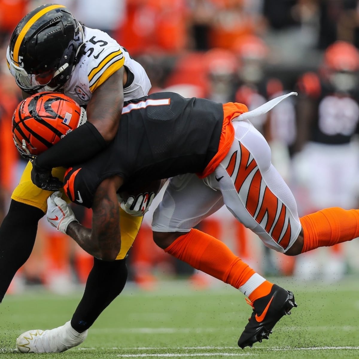 Devin Bush's injury is one of Steelers' worst fears realized. Now