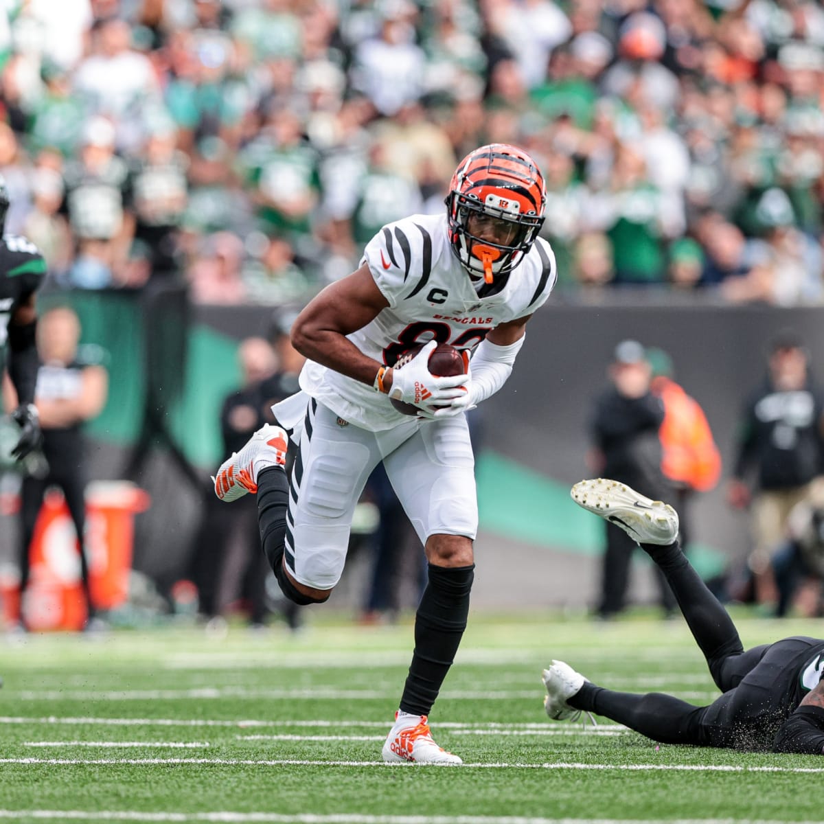 Bengals sack Jets to get into win column