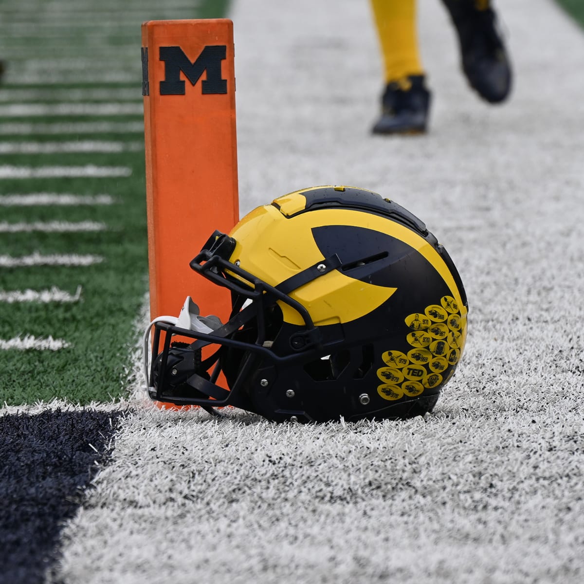 Michigan Wolverines vs Michigan State Spartans House Divided Garden Fl –  HeartlandFlags