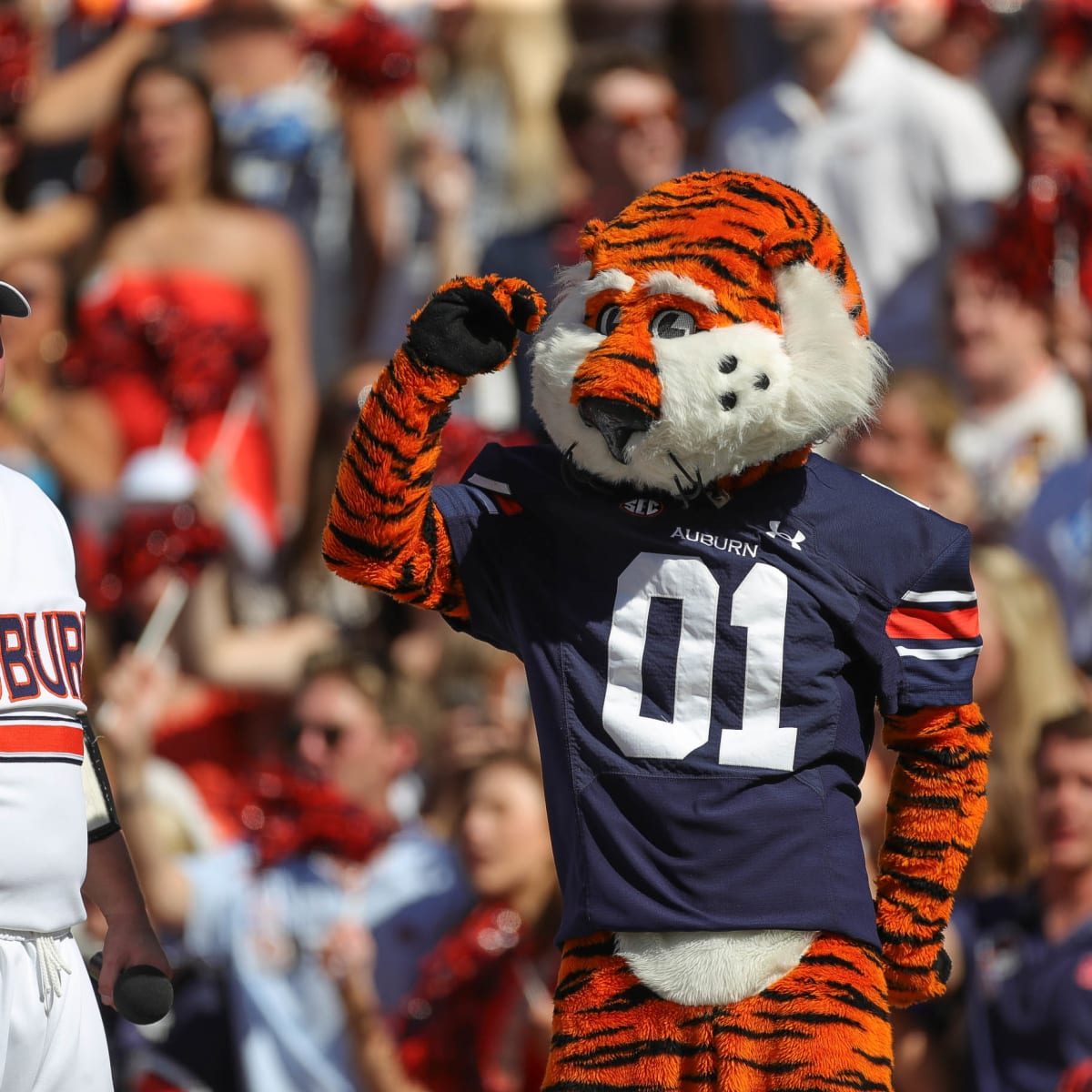 Auburn baseball faces it's first significant test of the 2022 season vs Ole  Miss - Sports Illustrated Auburn Tigers News, Analysis and More