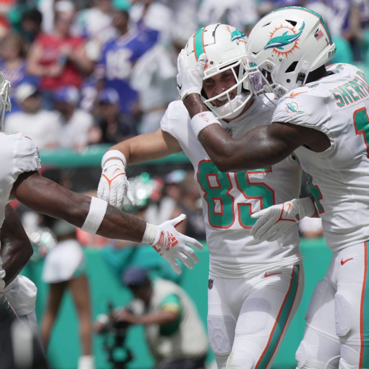 Former Detroit Lions fourth-round pick back with Miami Dolphins 
