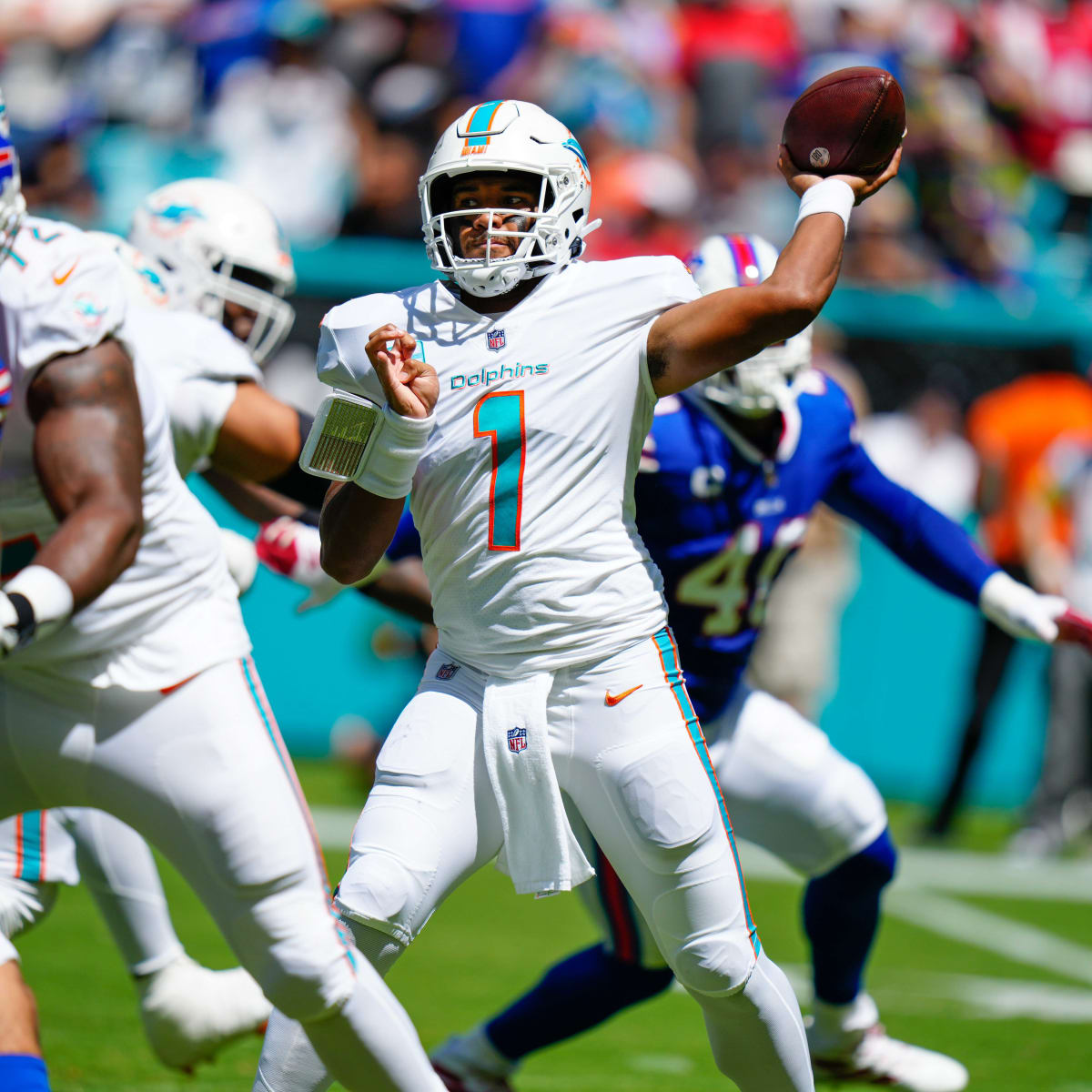 Bills Fans Can Win Tickets to Dolphins Game by Helping Hamburg