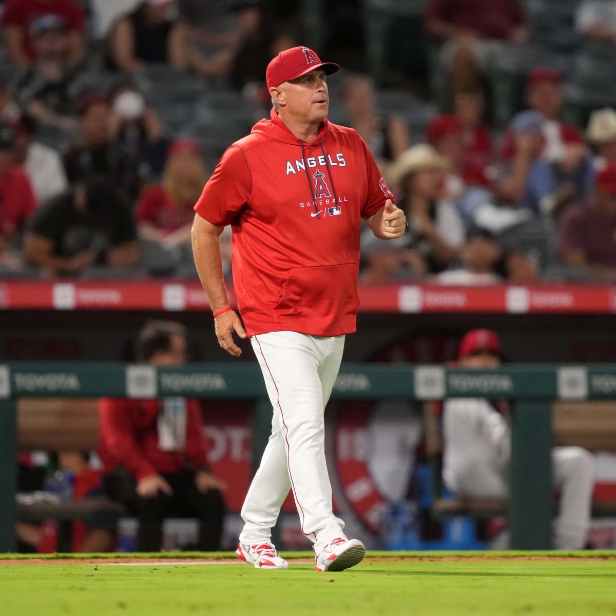 Angels News: GM Perry Minasian Thinks Current Roster has 'Talent at  Shortstop' - Los Angeles Angels