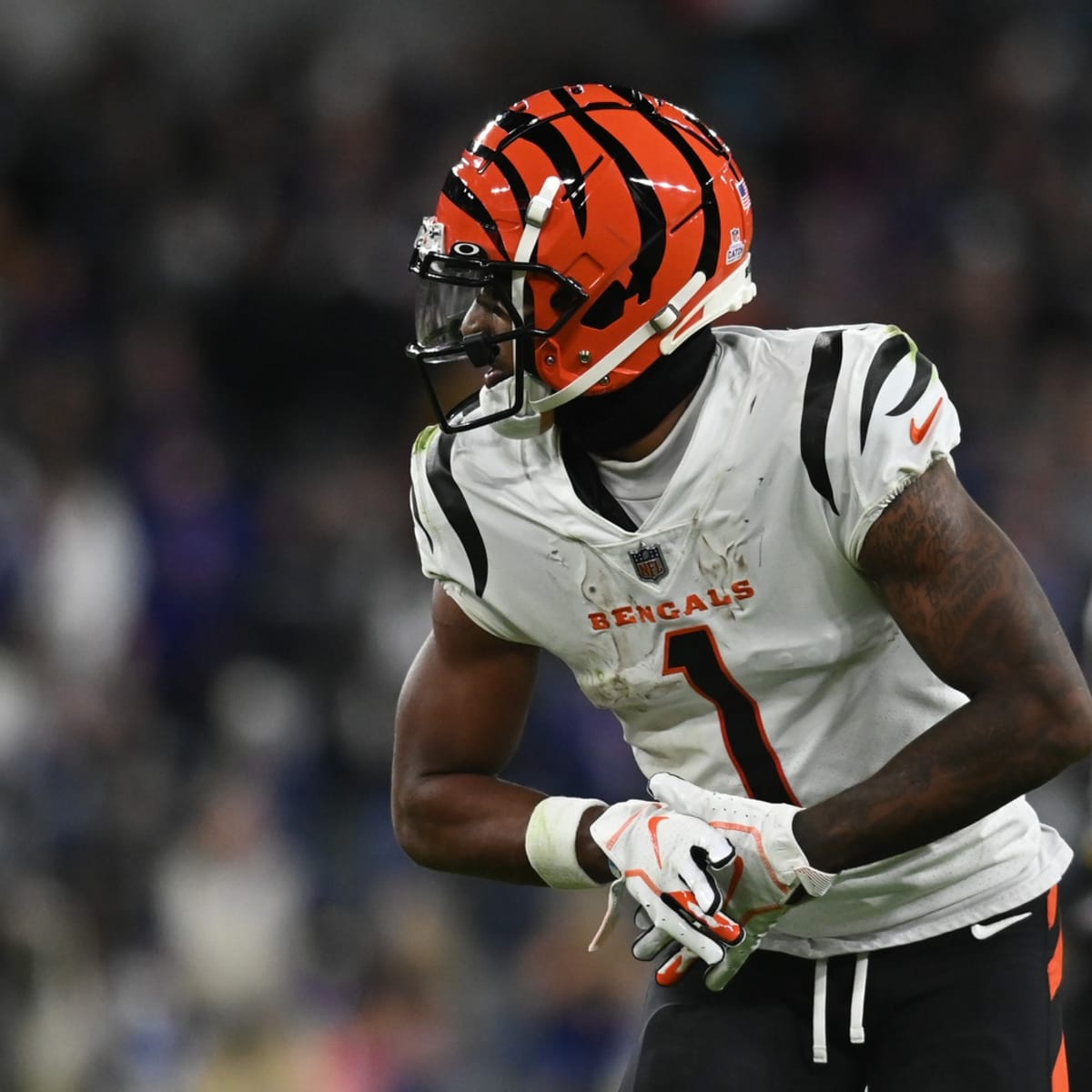 Bengals Willie Anderson honored despite missing the Pro Football