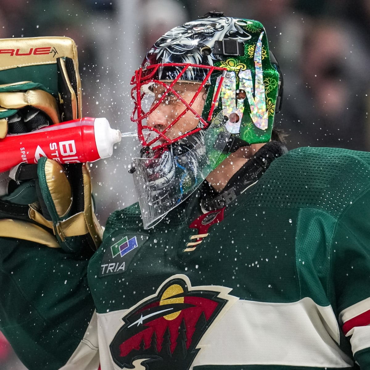 Will Fleury Get In A Goalie Fight Before Retiring? - Minnesota Wild - Hockey  Wilderness