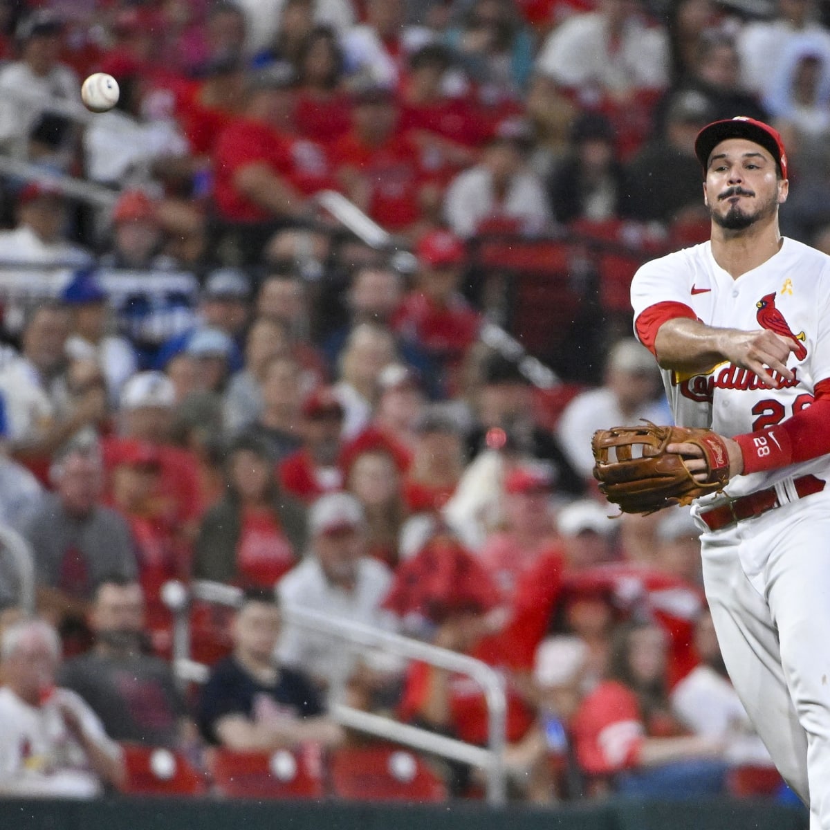 MLB Gold Glove awards: St. Louis Cardinals have five winners