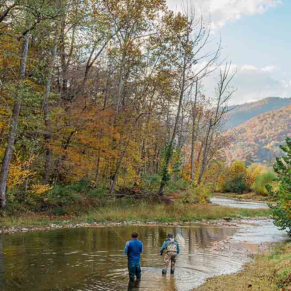 Half Day On The Stream Fly Fishing Lessons – Murray's Fly Shop