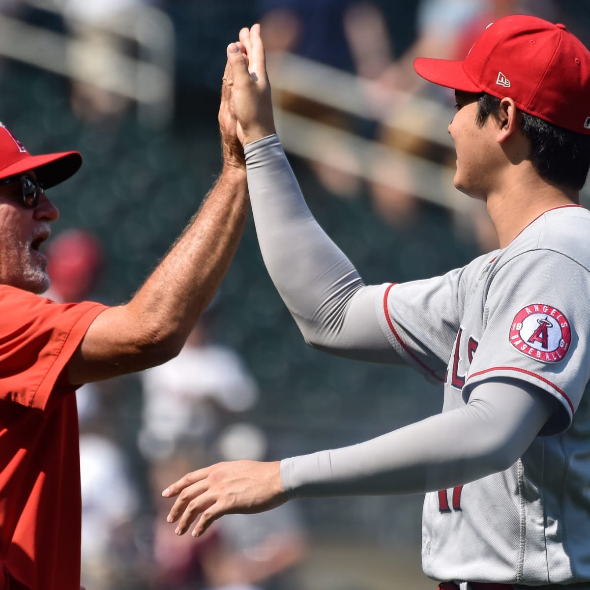 Joe Maddon Reveals The Most Unique Thing He Learned About Shohei Ohtani