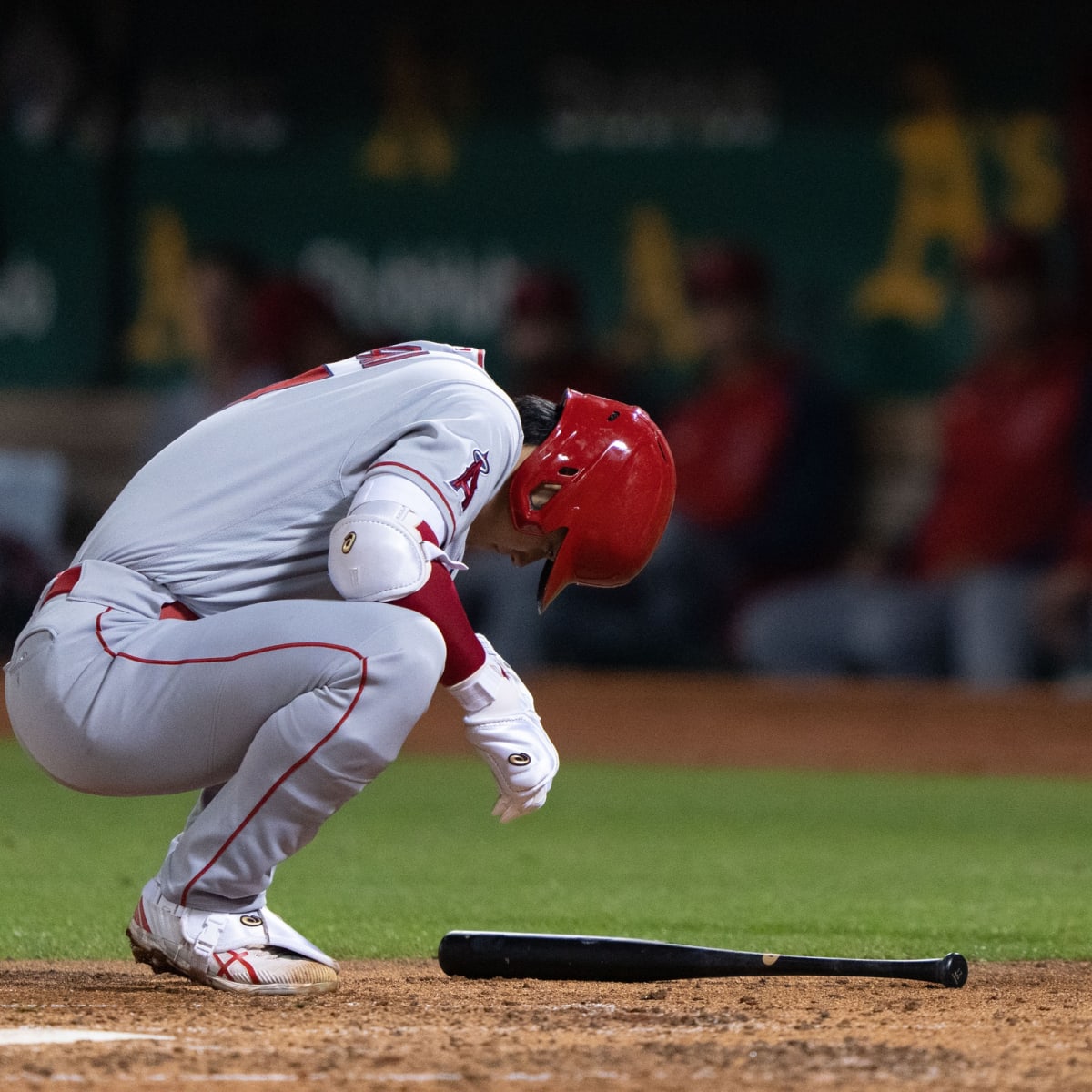 Los Angeles Angels fans love seeing Shohei Ohtani joking around with  opponent after being hit by a pitch: The greatest player and the nicest  guy, How can u not root for this