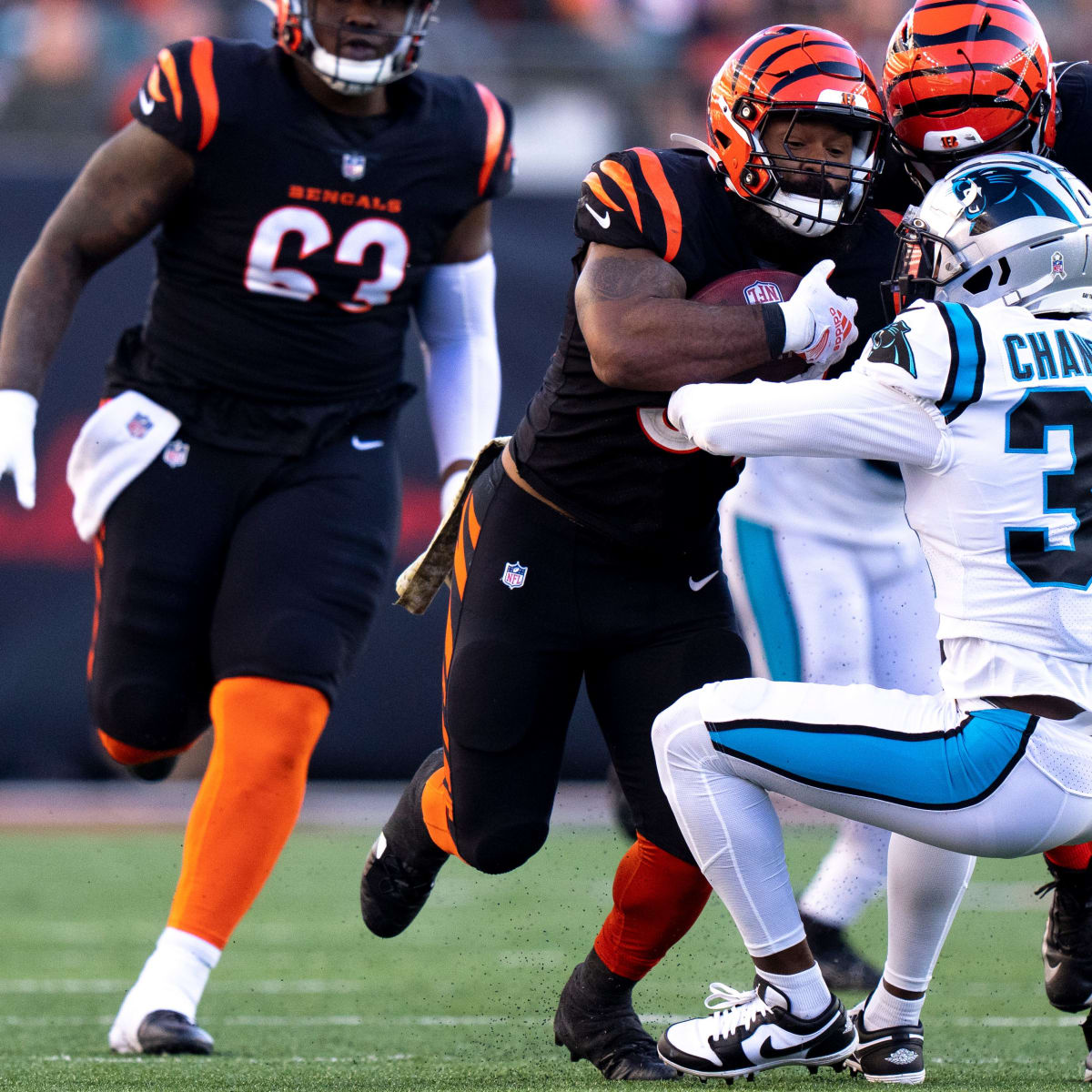 Bengals Falter to Panthers, Lose Perfect Season in Week 3