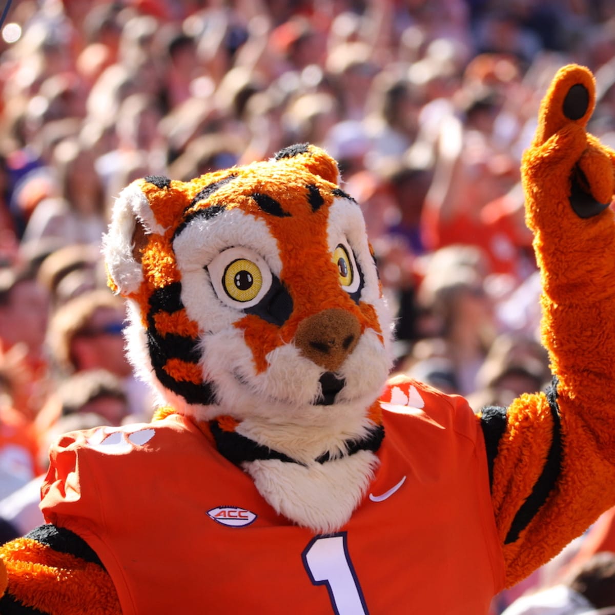 Clemson Tigers baseball vs Louisville