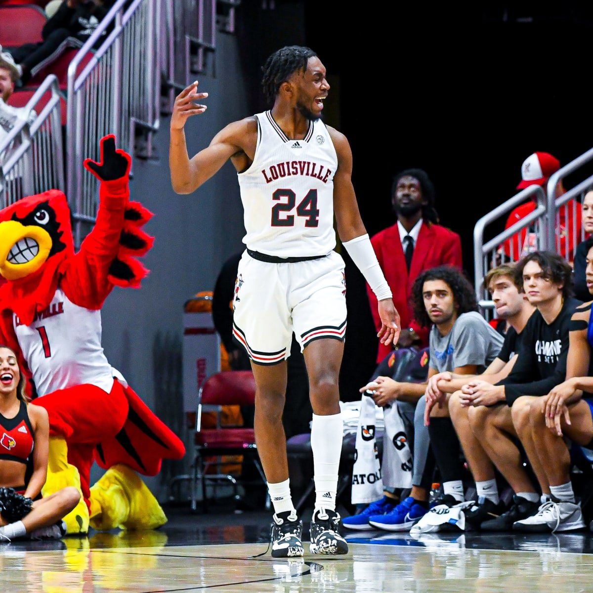 Cardinals Fall to Bellarmine in Season Opener Despite Late Rally -  University of Louisville Athletics