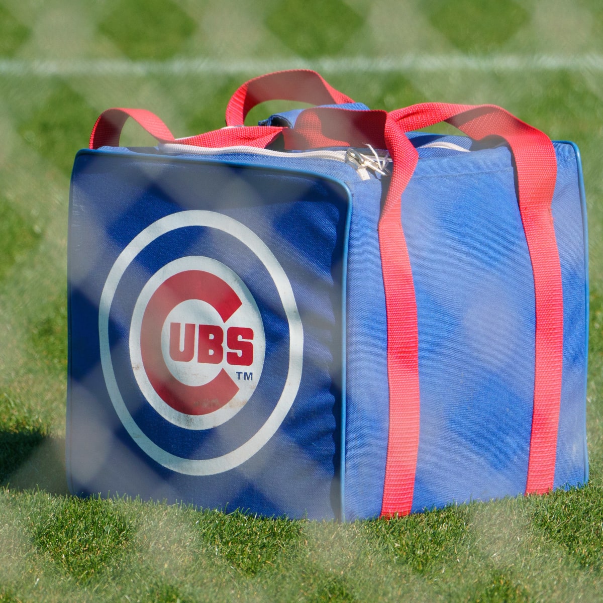 Cubs announce 2022 minor league coaching assignments – WYSH AM 1380