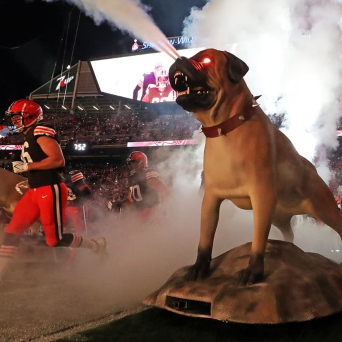 Browns vs. Dolphins: Watch, game time, TV schedule, streaming and more -  Dawgs By Nature