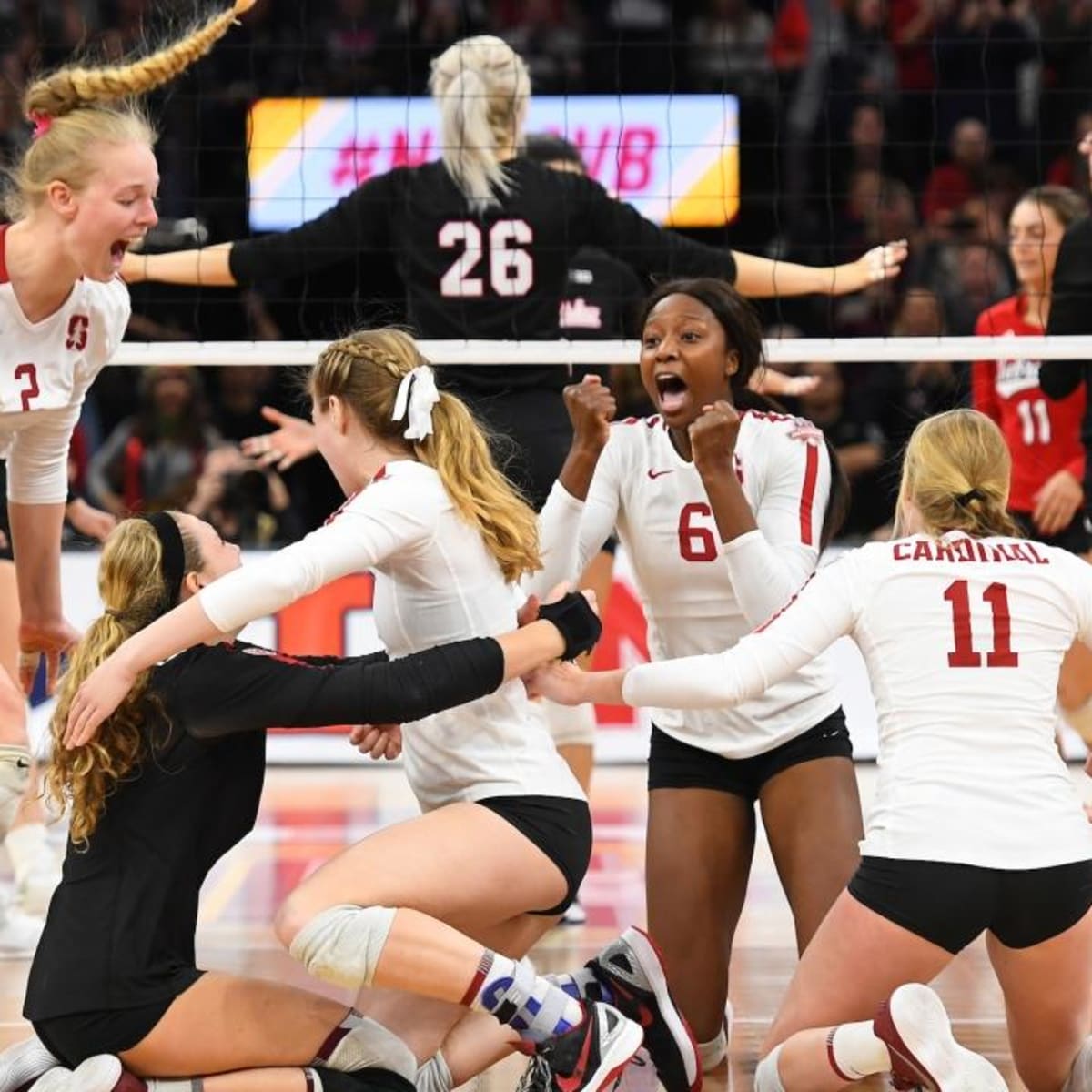 Florida State Miami Free Live Stream Womens College Volleyball - How to Watch and Stream Major League and College Sports