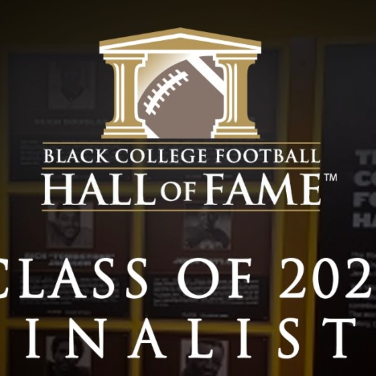 Pro Football Hall of Fame on Twitter: Introducing the @BCFHOF