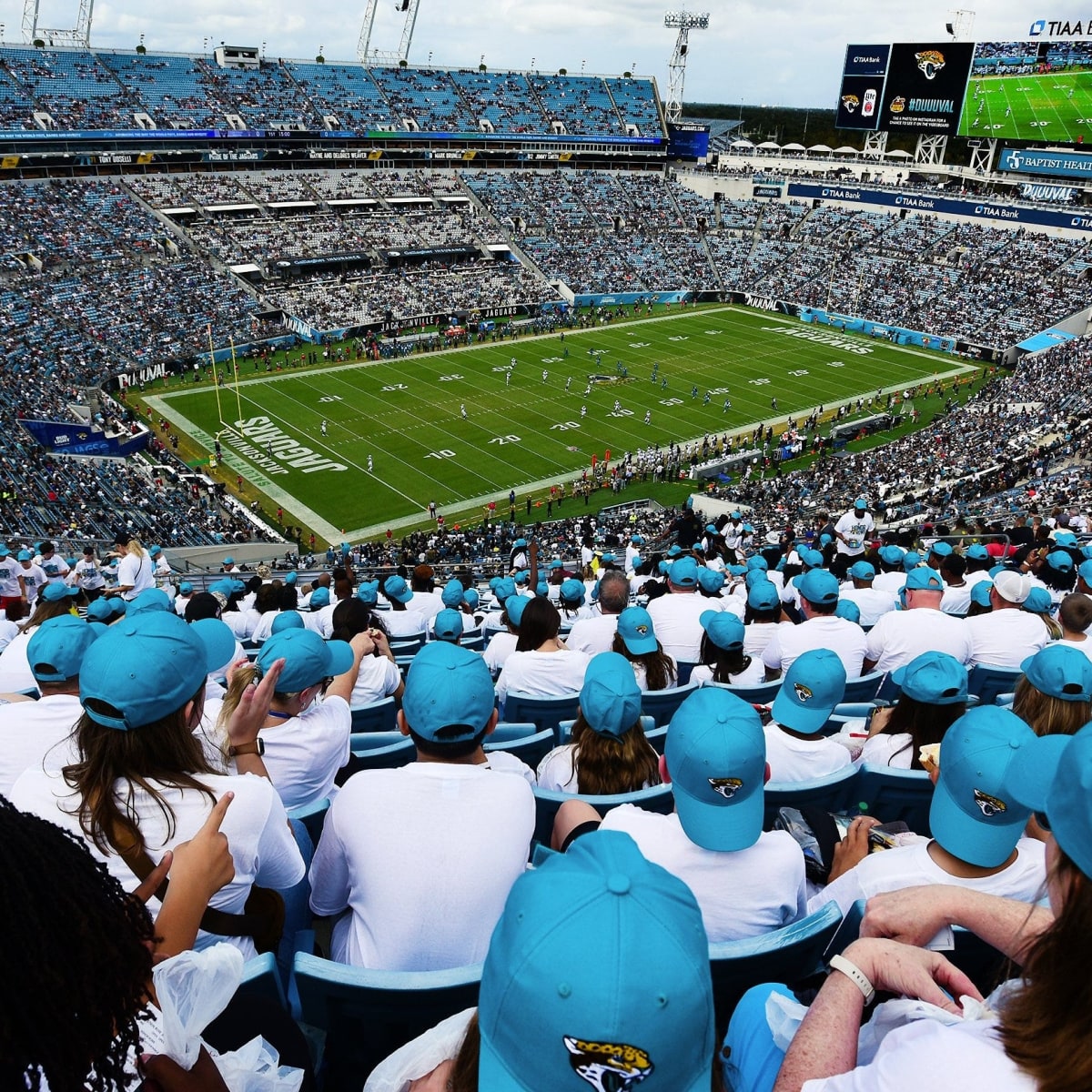 Jaguars Stadium Concession Stands Found Containing Dead Rodents