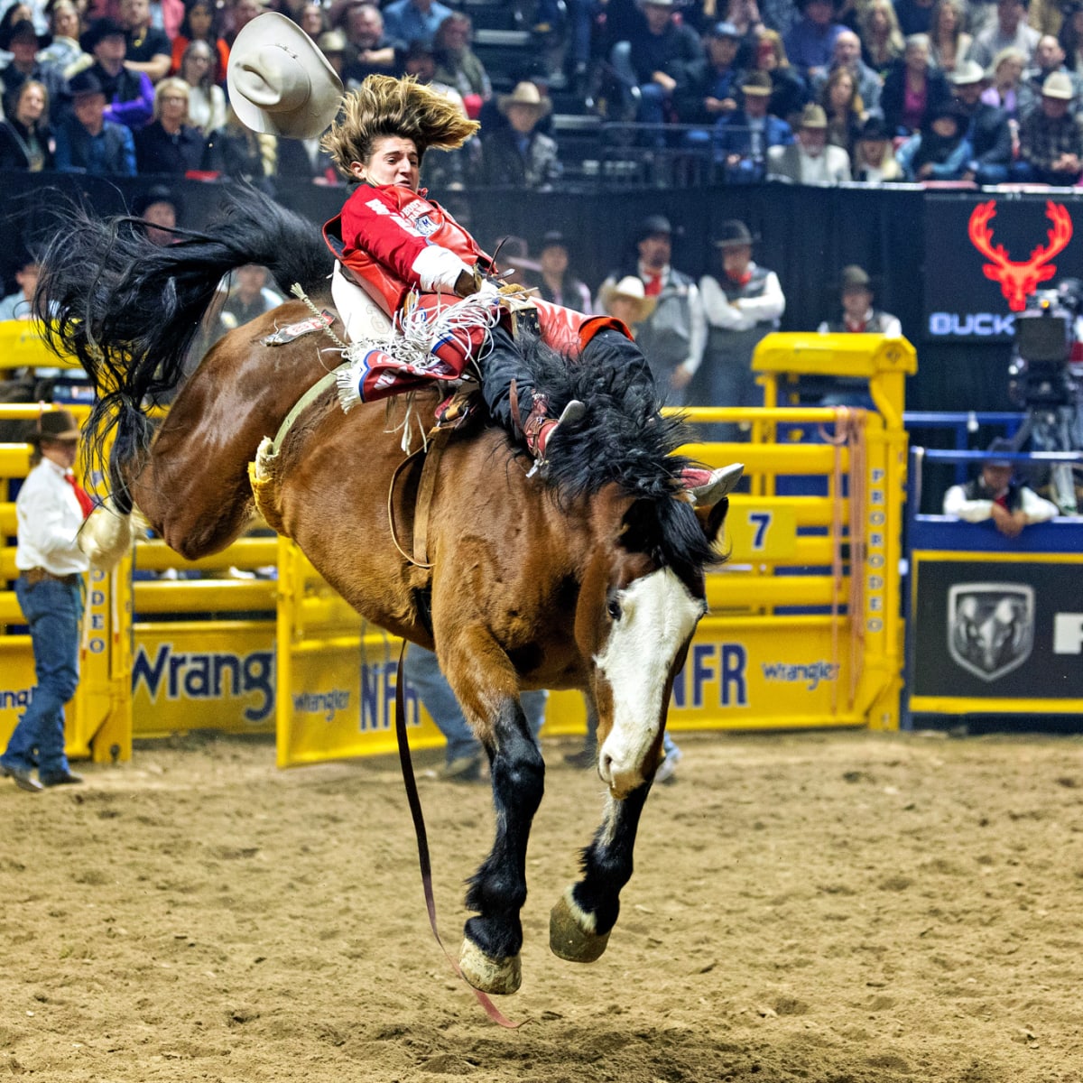 ROCK BULL RIDE RODEO LONG HUGE RODEO BIG COWBOY TEXAS WESTERN