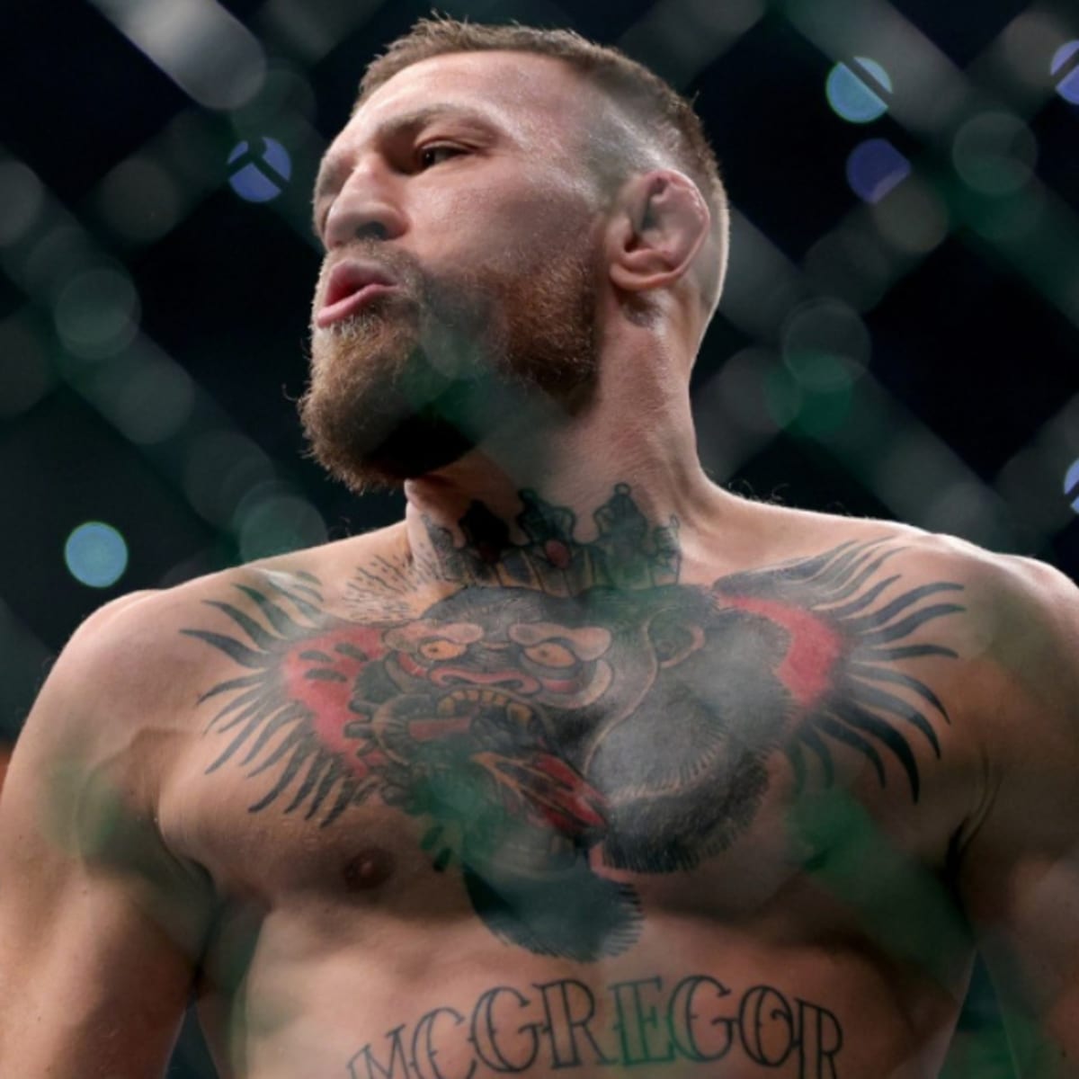 Conor McGregor fan shows his dedication with amazingly detailed tattoo... -  JOE.co.uk