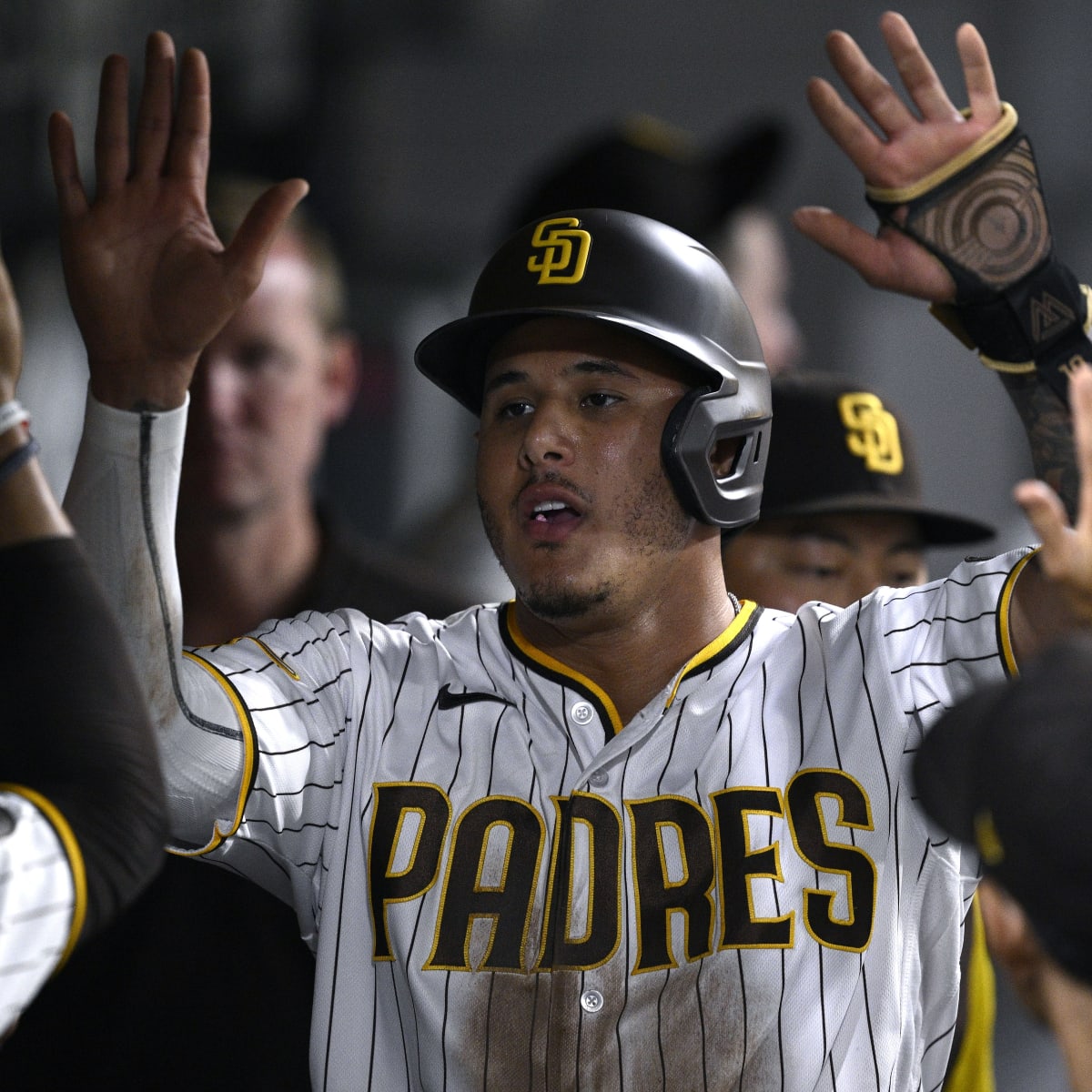 Former Padres Catcher Opts Out of Deal With AL Team, Could Friars Bring Him  Back? - Sports Illustrated Inside The Padres News, Analysis and More