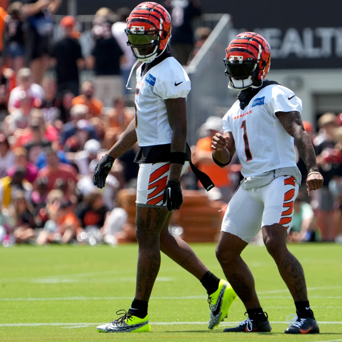 Duke Manyweather on Cincinnati Bengals Offensive Tackle Orlando