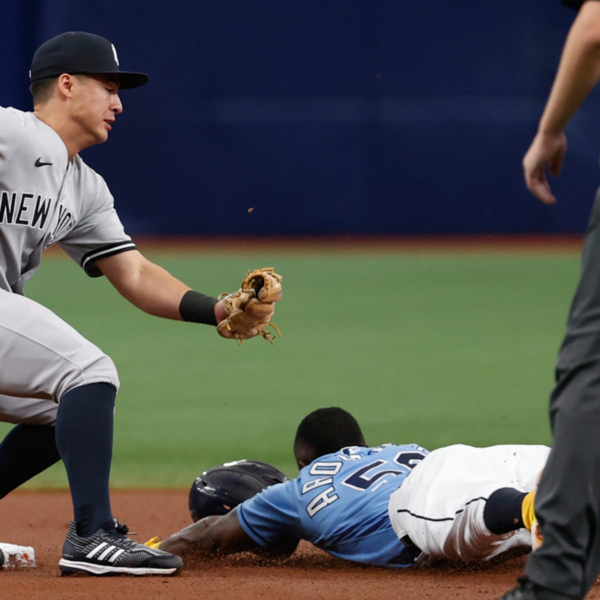 MLB News: Baseball fan or not: Randy Arozarena's emotionless catch and  celebration is GOAT material for all