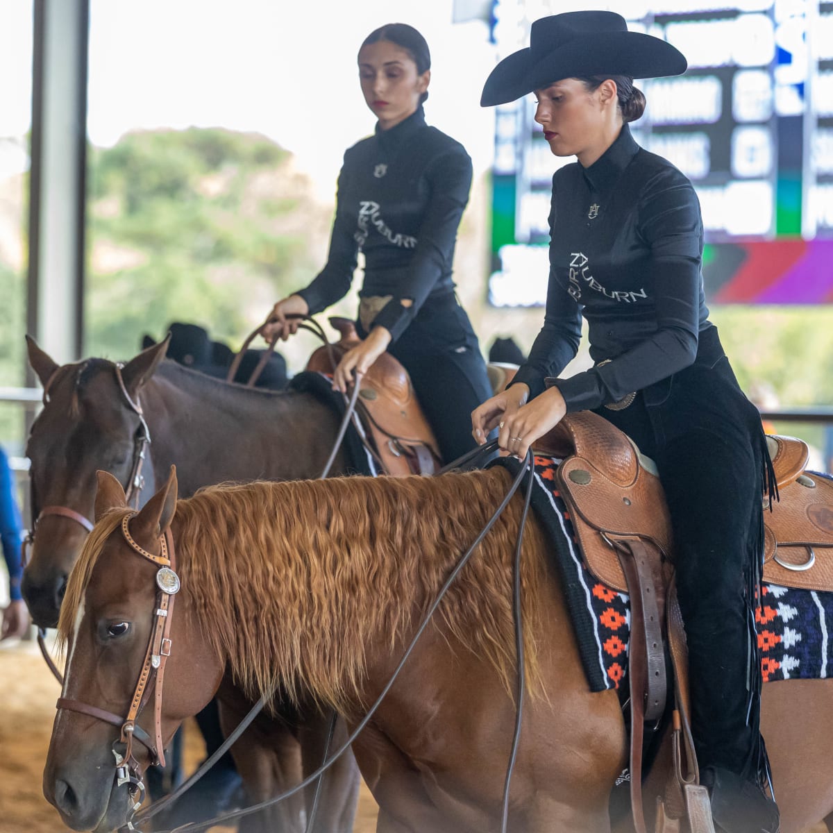 Auburn Equestrian Begins Its New Season, and a New Era - Sports Illustrated  Auburn Tigers News, Analysis and More