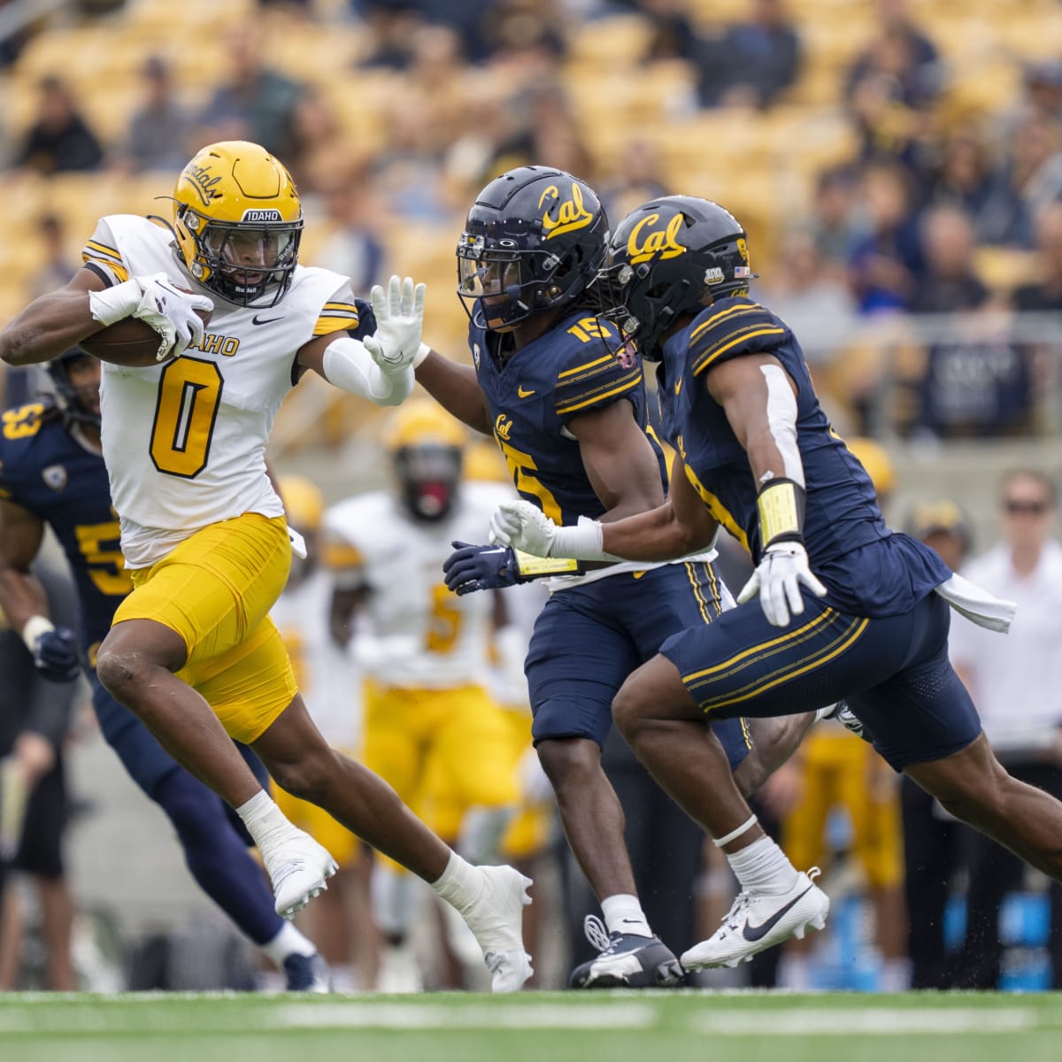 September 23 Cal-Washington Kickoff At 7:30 PM - California Golden