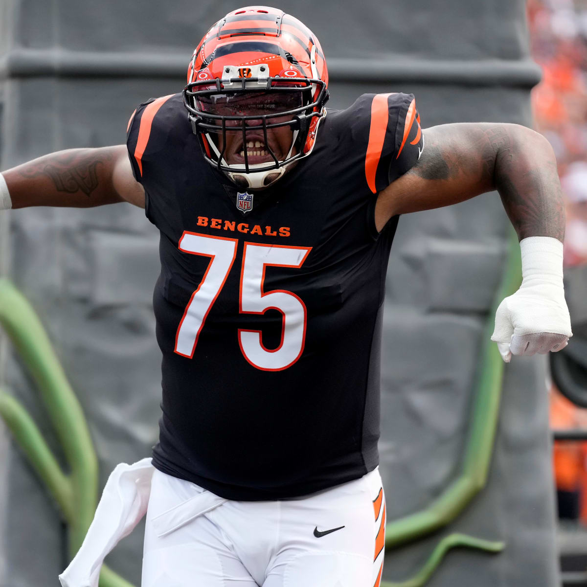 WATCH: Bengals players greeted by cheers of fans at pep rally