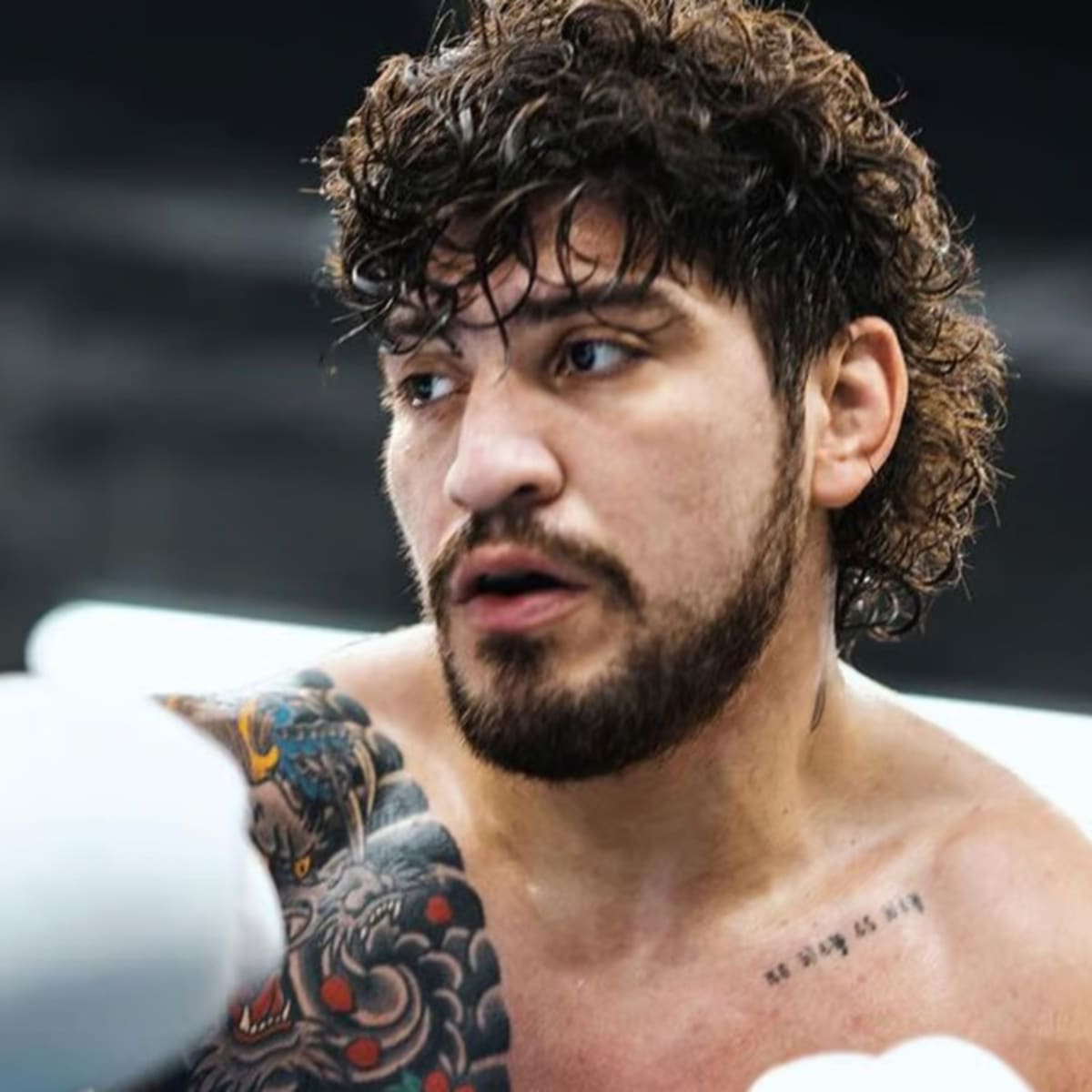 Will Dillon Danis Pull Out Of Logan Paul Fight Amid Nina Agdal Lawsuit? -  Sports Illustrated MMA News, Analysis and More