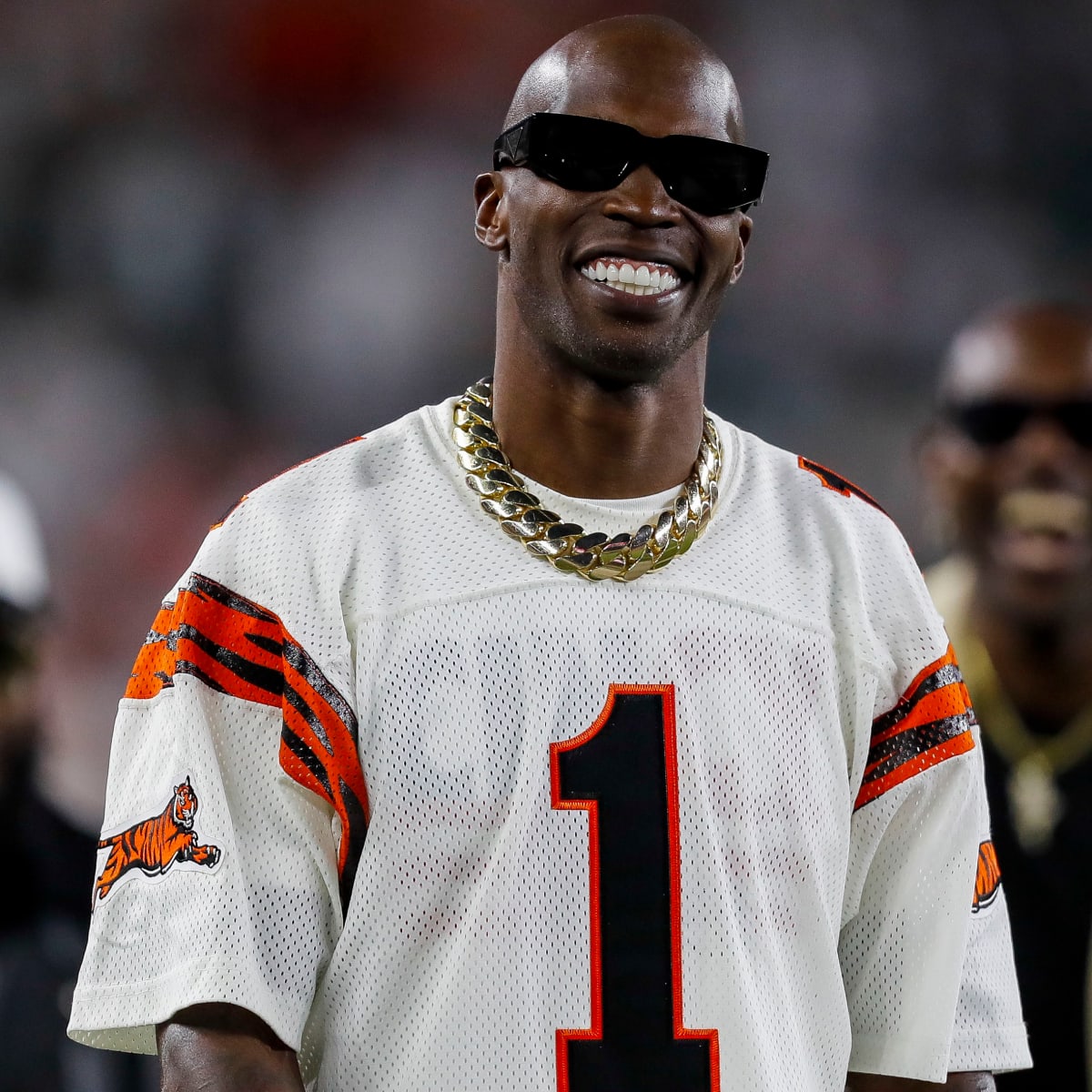 Chad Ochocinco Johnson: Success with the Miami Dolphins Is