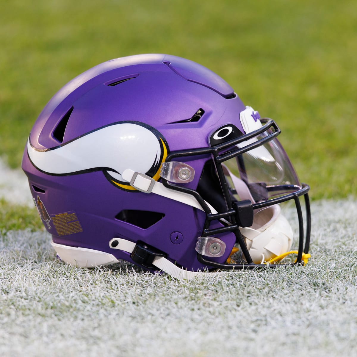 Vikings Snap Counts: Top pick Cine barely seen in NFL debut North News -  Bally Sports