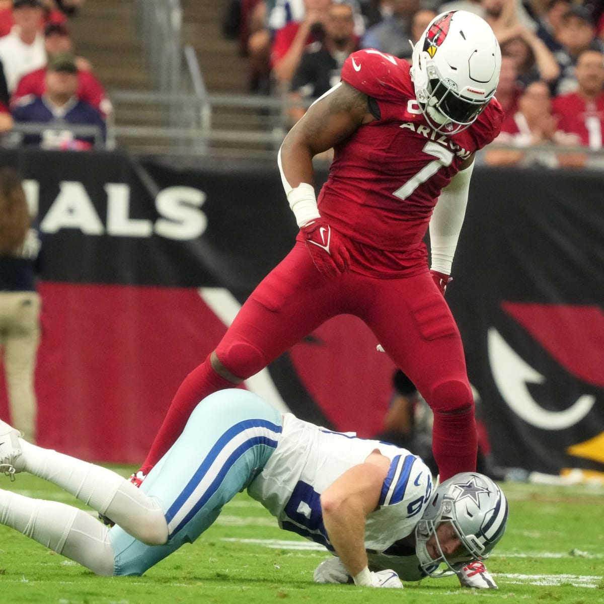 NFL Week 14 Game Preview: New England Patriots at Arizona Cardinals