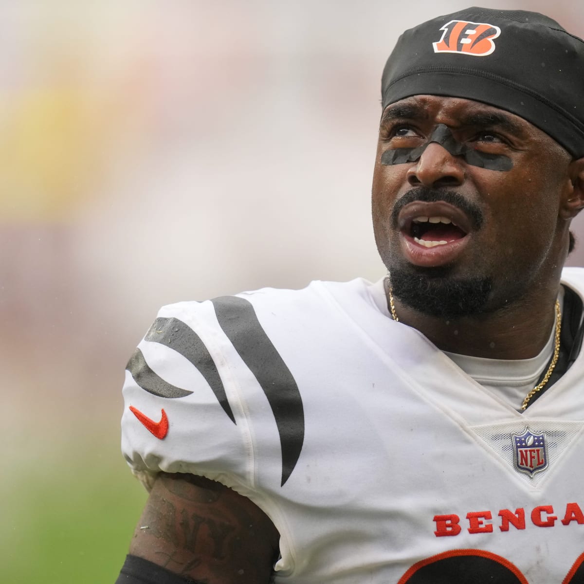 Bengals vs Cardinals: 6 winners and 4 losers from NFL Preseason Week 1 -  Cincy Jungle