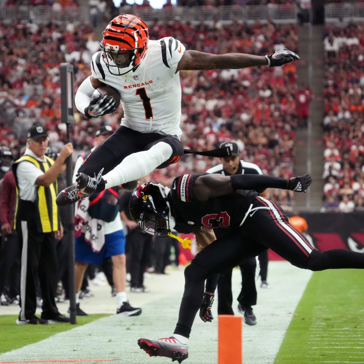 PHOTOS: Cincinnati Bengals mini camp, 6/14