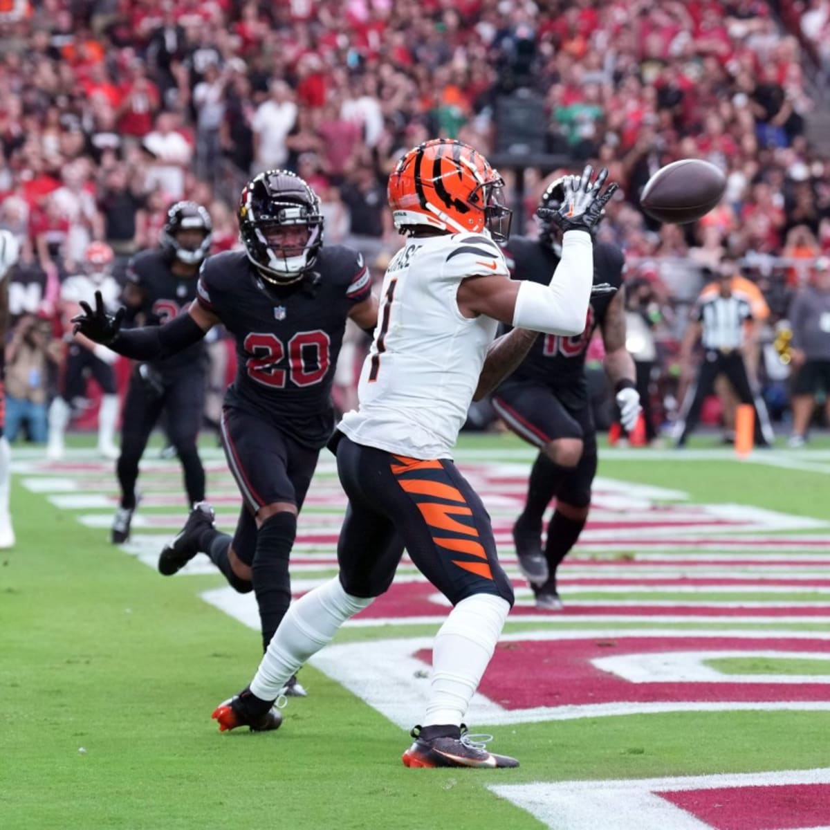 Regarder Cardinals @ Bengals en Direct Live