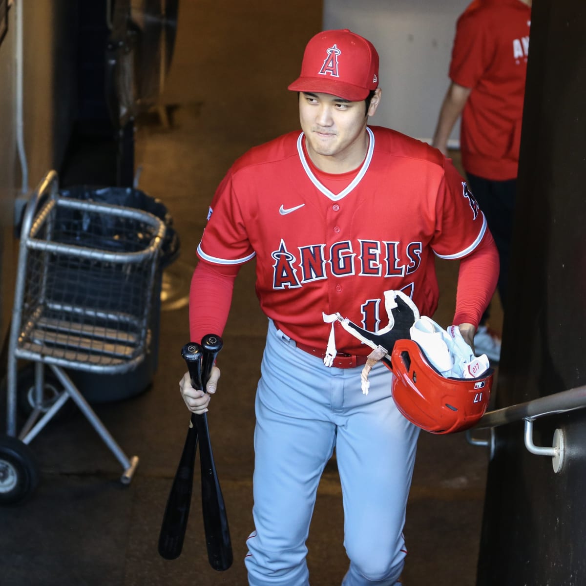 Angels Outright Brett Phillips - MLB Trade Rumors