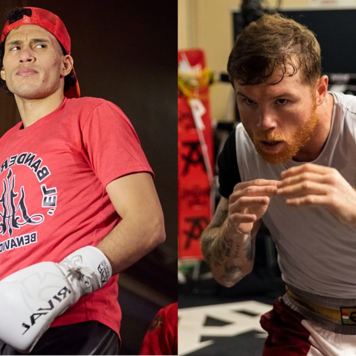 Can David Benavidez Knock Out Canelo Alvarez? - Boxing News