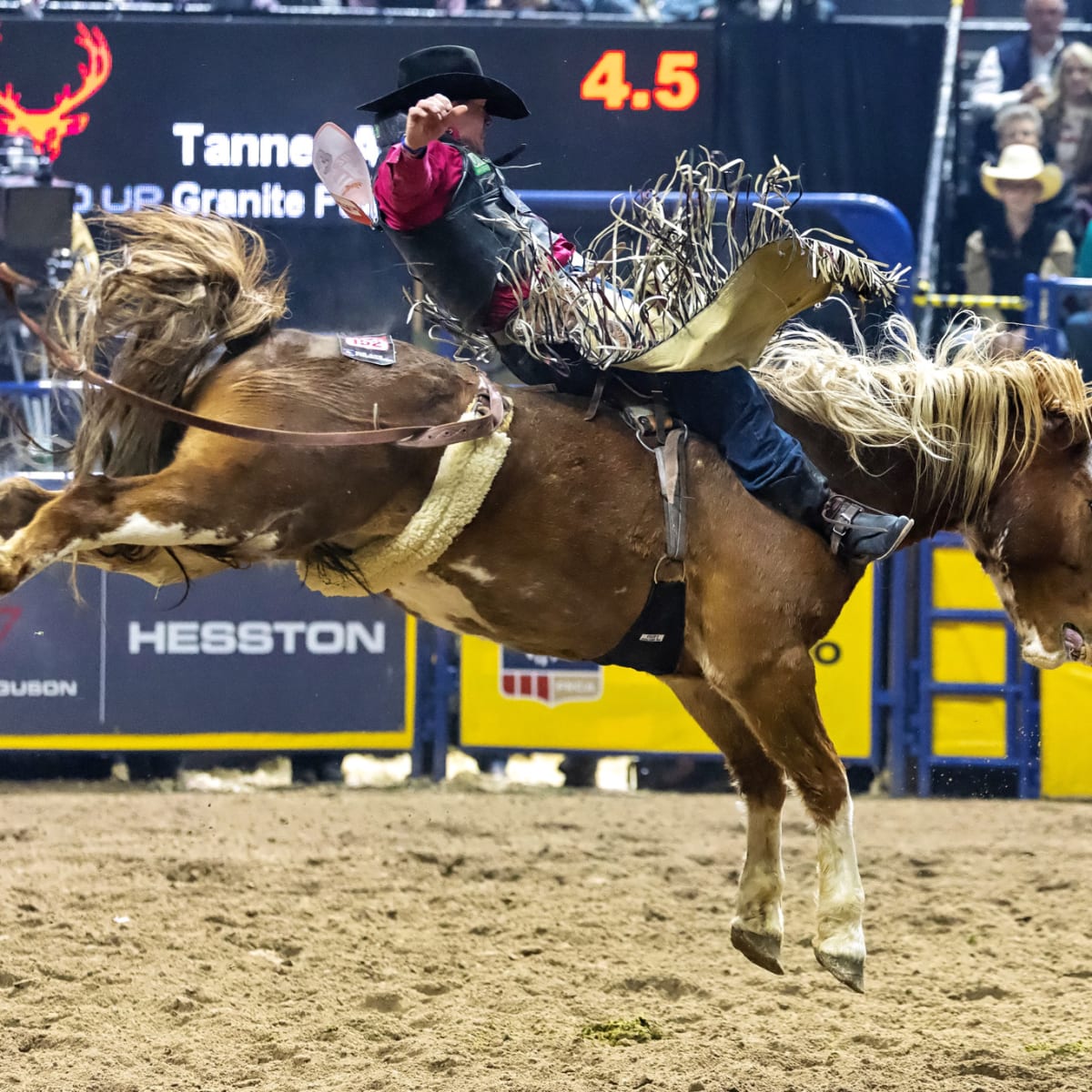 2023 PRCA and WPRA World Champions Crowned - Sports Illustrated