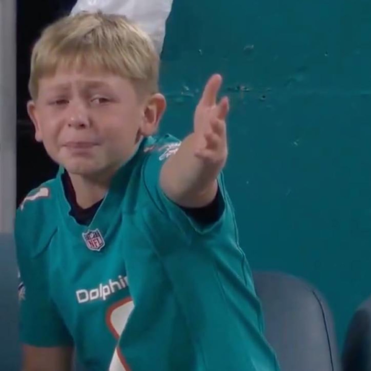 dolphins-fans.jpg