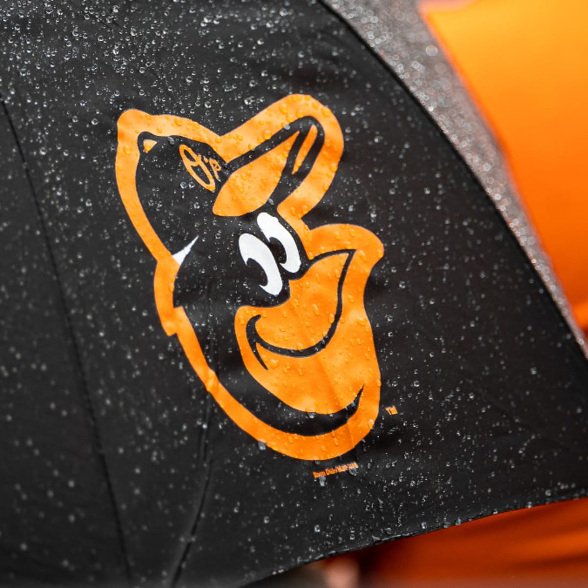 Yankees Expected To Pursue Orioles Superstar Next Offseason According To  Insider - Sports Illustrated NY Yankees News, Analysis and More