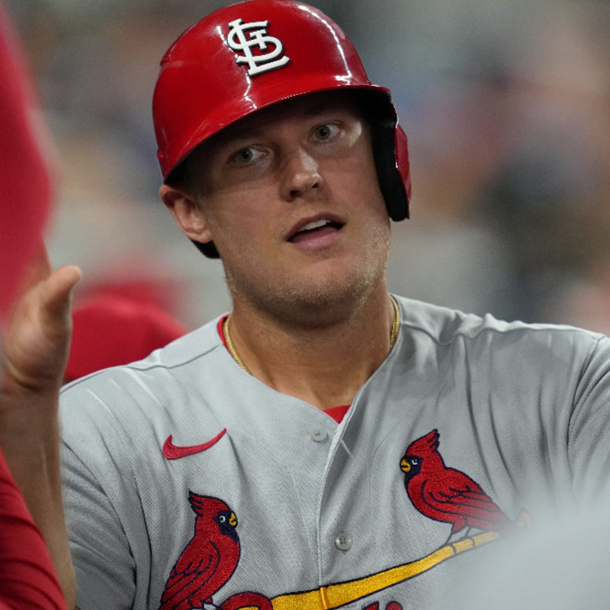 Cardinals Officially Call Up Intriguing Slugger After Yet Another  Unfortunate Injury - Sports Illustrated Saint Louis Cardinals News,  Analysis and More