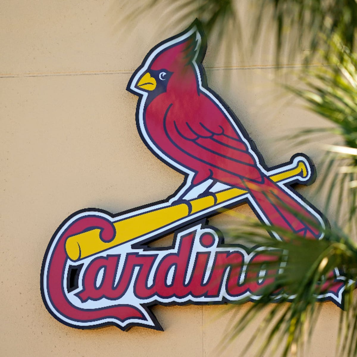 St. Louis Cardinals fans exasperated as 2023 season continues to go down  the drain: First time in my life seeing the Cardinals be this bad