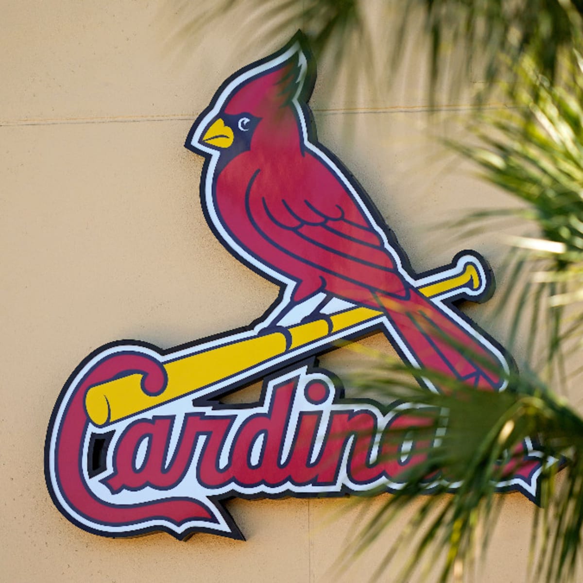 Surviving 'the grind': Cardinals' plans to weather rigorous schedule  'reveal a better team
