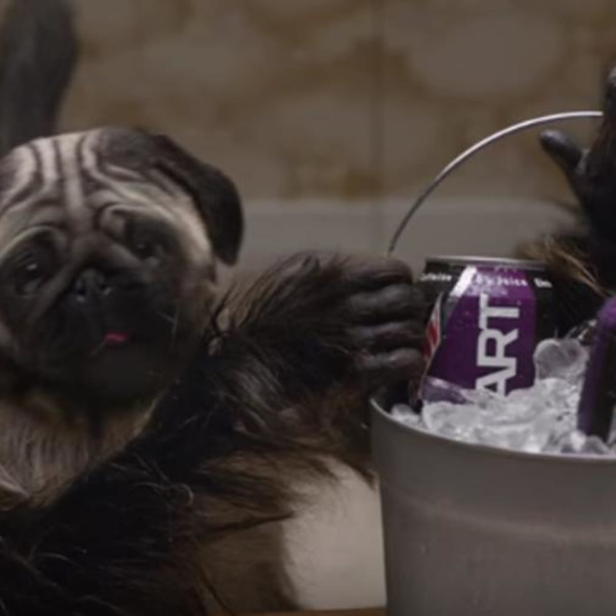 GIF mountain dew super bowl 2016 puppymonkeybaby - animated GIF on